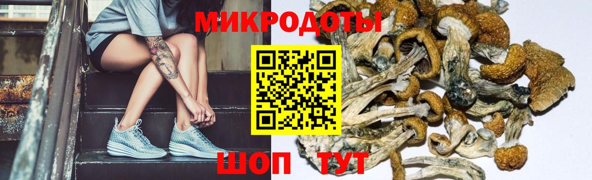 Чернушка  Псилоцибиновые грибы Cubensis  Вход с VPN 
