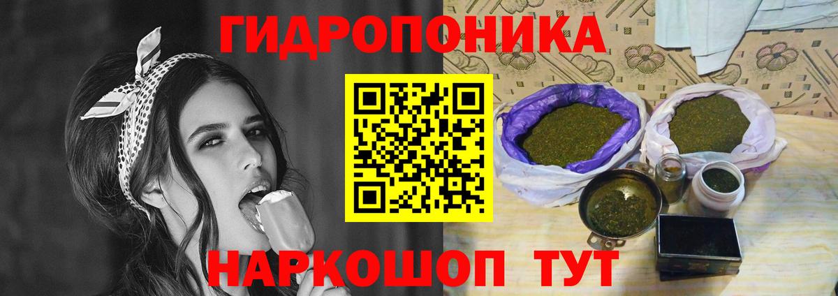 Канабис SATIVA & INDICA Чернушка